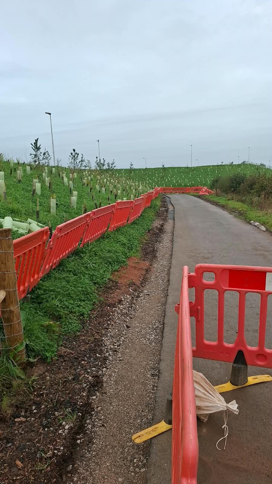 Barriers following the verge of a lane with new planting behind